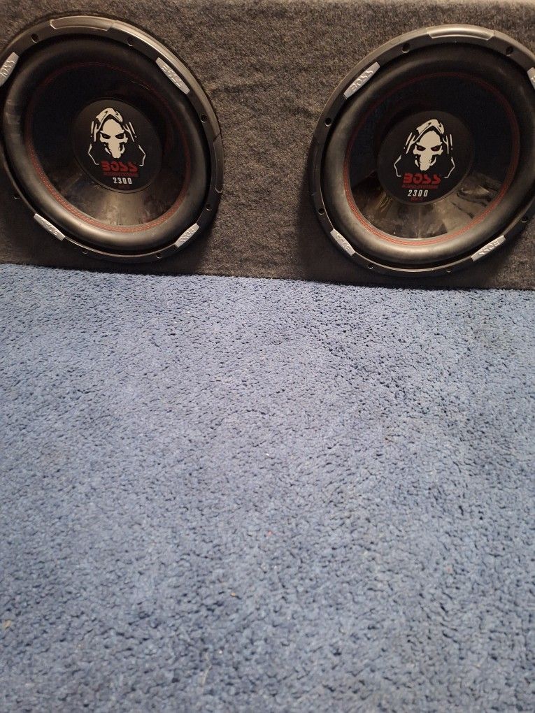 2 12" Speakers W/ Box
