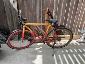 Fyxation Single Gear Bike