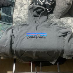Patagonia Men’s Hoodie 