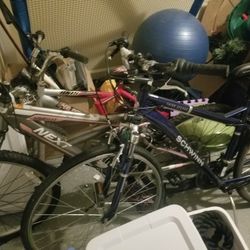 Lot Of Bikes