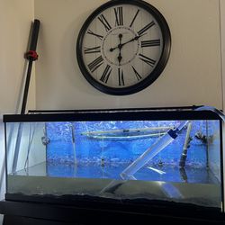 75 Gallon Marineland Farmhouse Fish Aquarium, & Tank Stand