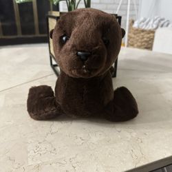 Stuffed Animal