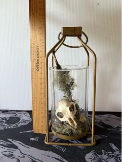 Tall lantern with skull