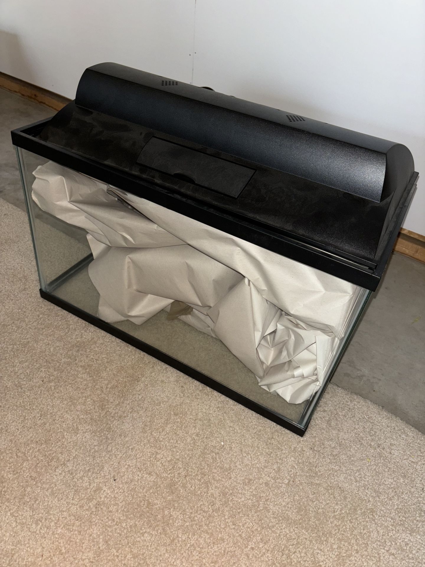 5 Gallon Fish Tank