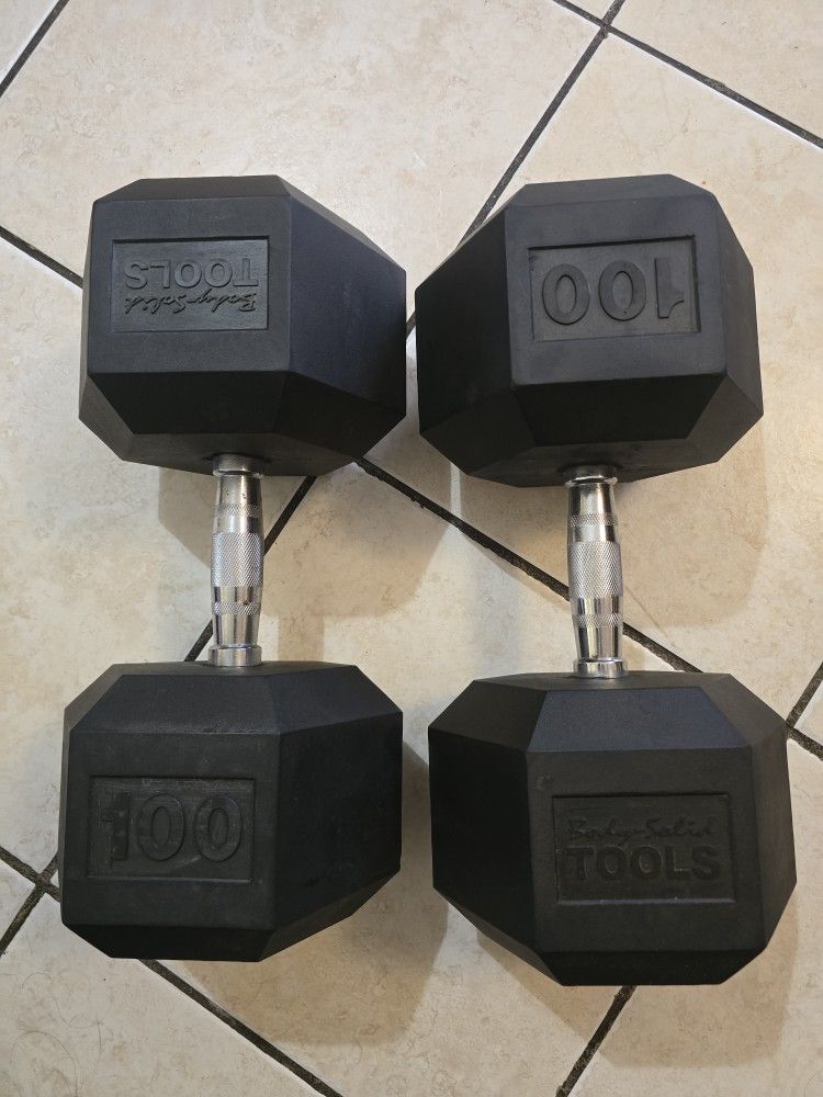Weight 100lb Dumbbells