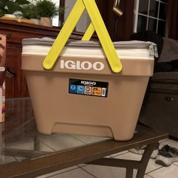 Igloo cooler 35$