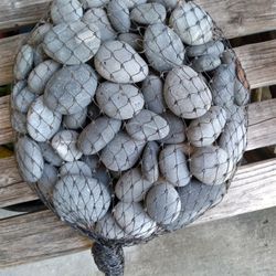 Bag Of Rock Painting  Rocks