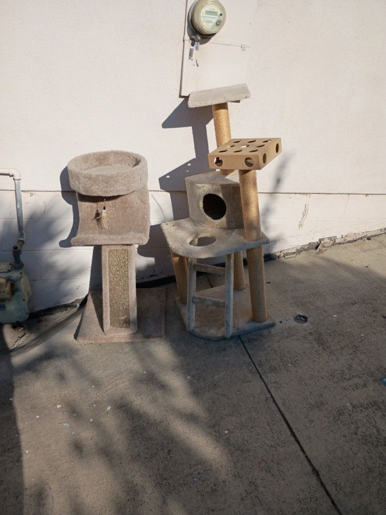 Cat Stands