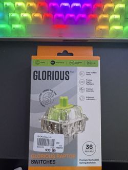 Glorious Raptor Switches