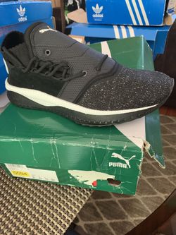 Puma tsugi shi
