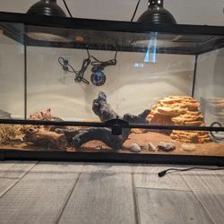 45 GALLON LIZARD TANK