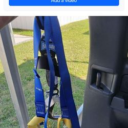 Safety Harness 