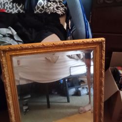 Carolina Mirror Company Golden Finish Mirror