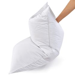 Set of 2 White Goose Feather Queen Bed Pillows 