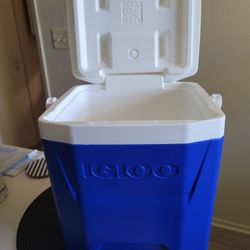 Brand NEW Igloo 12 QT cooler
