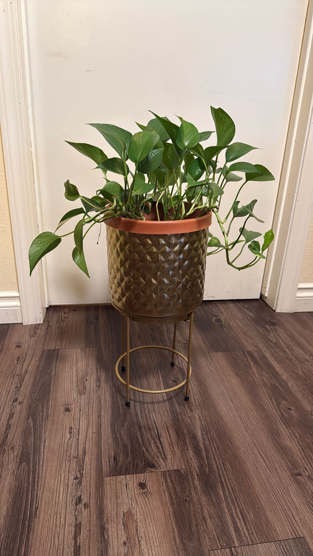 Plant Pot Holder with Stand