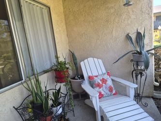 Priced plants