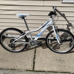 Trek Giant Gary Fisher 24” Kids Mountain Bike it works needs air and a tube up and cleaning 