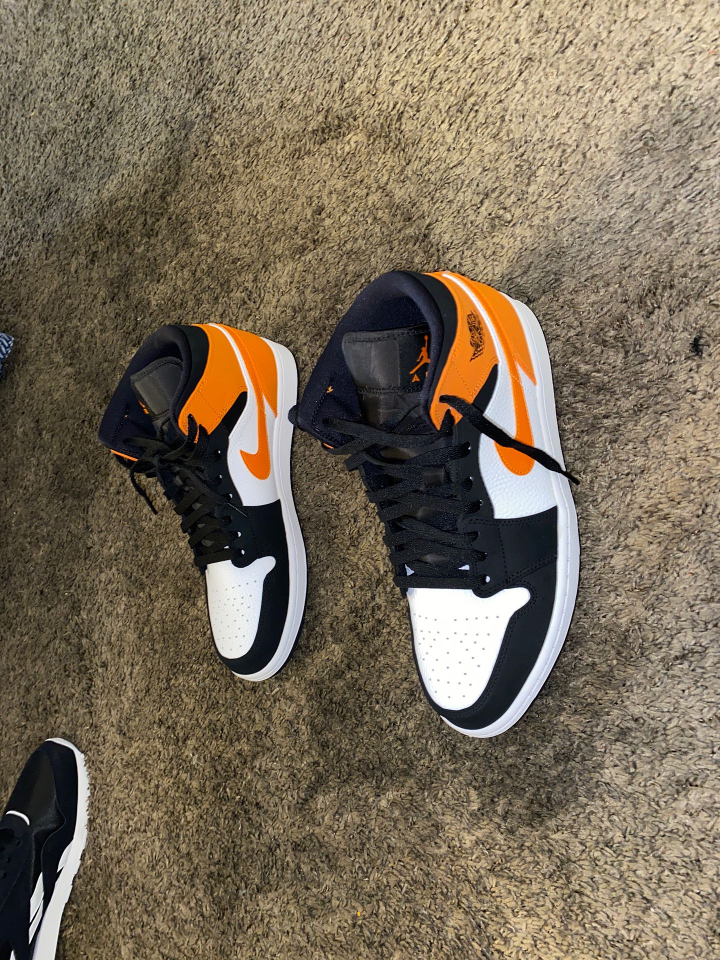 Air Jordan 1 Size 12