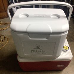 Coleman Igloo  Cooler 