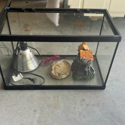 30in Fish Tank