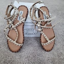 Steve Madden 