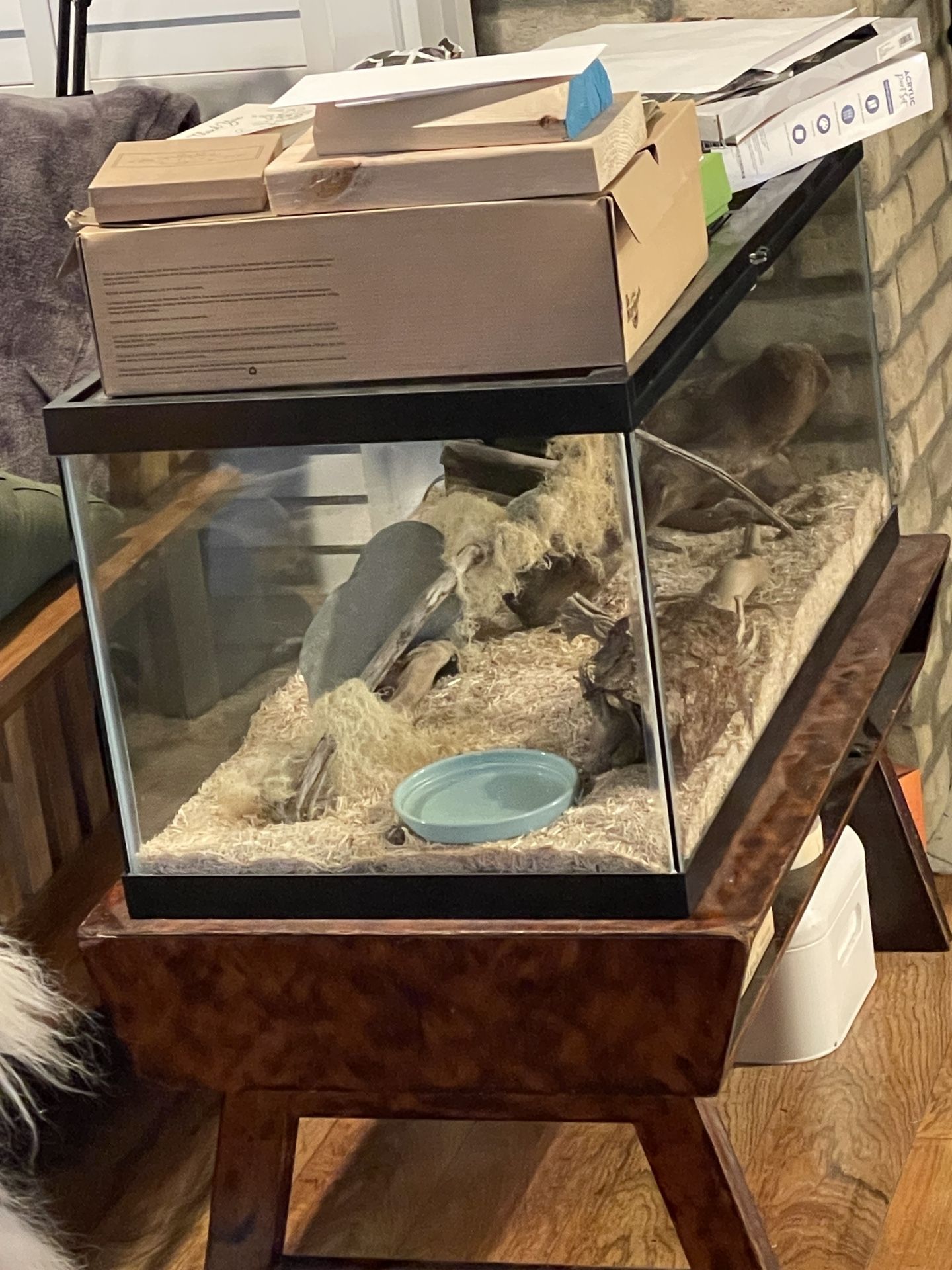 Terrarium