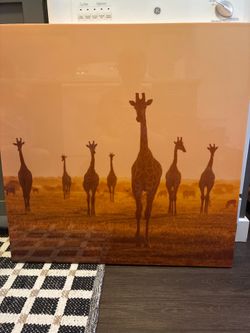 Giraffe canvas