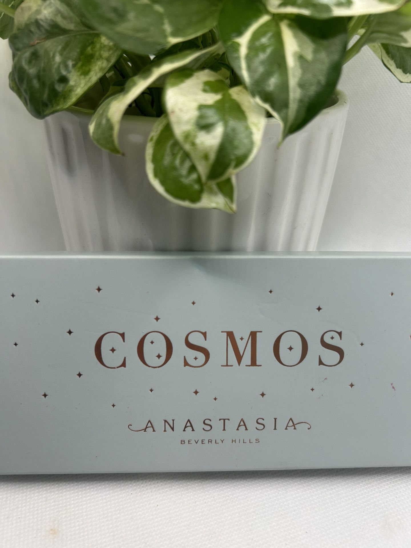 Anastasia cosmos palette