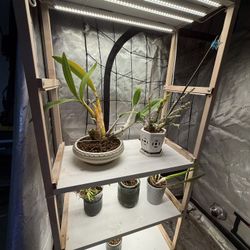 Plant Shelf With Grow Lights