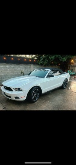 Mustang