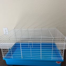 Kaytee guinea pig cage