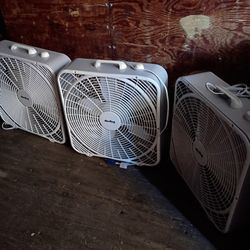 Fan