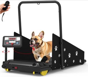 Dog treadmill
