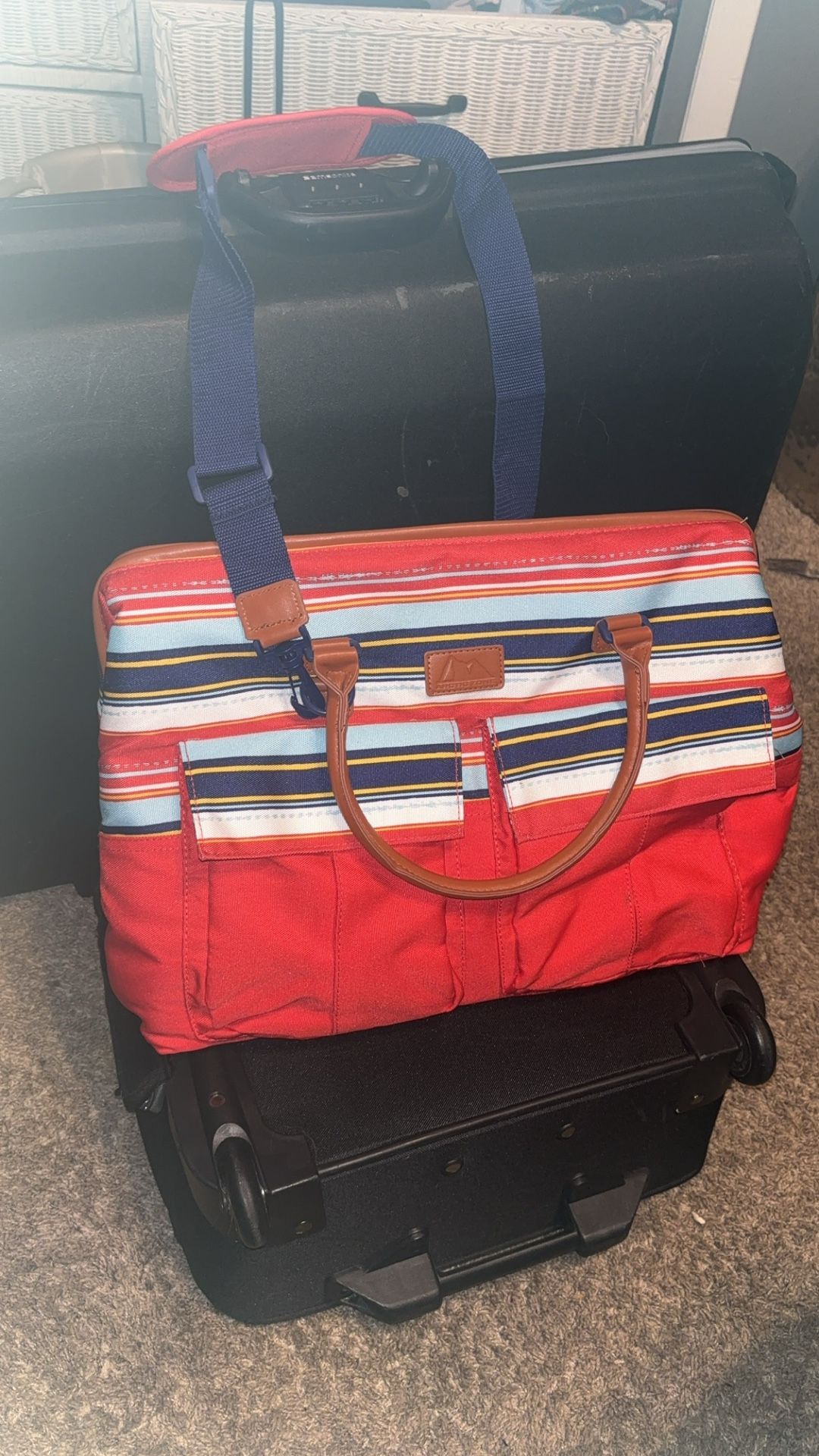 Arctic Zone Cooler Bag