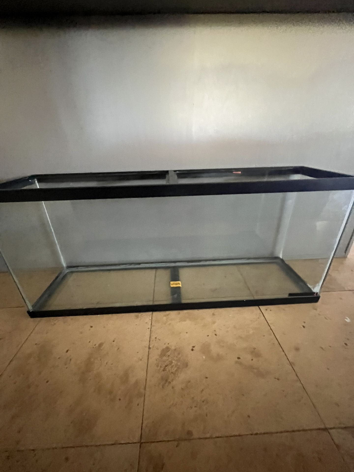 55 Gallon Fish Tank W Accessories