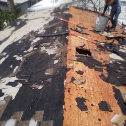 House Roofs