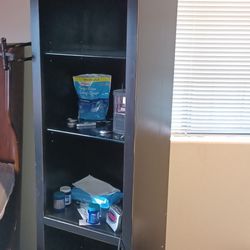 Black Wooden lighted Cabinet pair or single $100 each 19x15x78h  