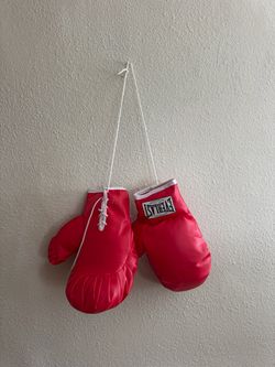 Halloween Costume Boxing Gloves