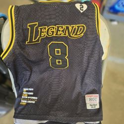 Kobe Bryant Legend Mamba Jersey