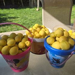 Organic Baby Lemons 