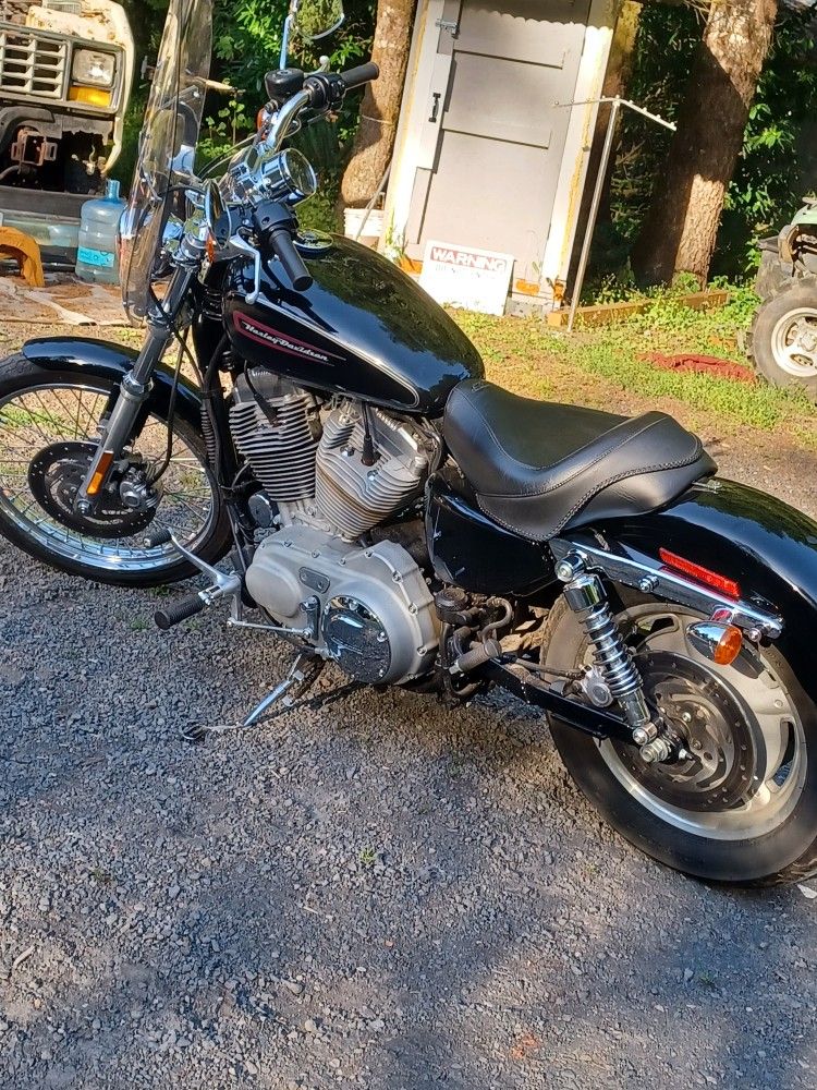 2009 Harley Davidson 883