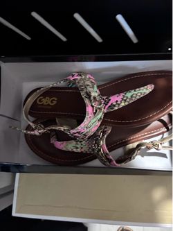 Guess slides