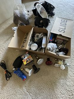 Reptile Supplies