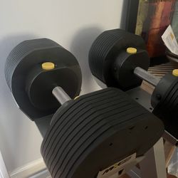 Mx55 Adjustable Dumbbell Exercise Equipment  