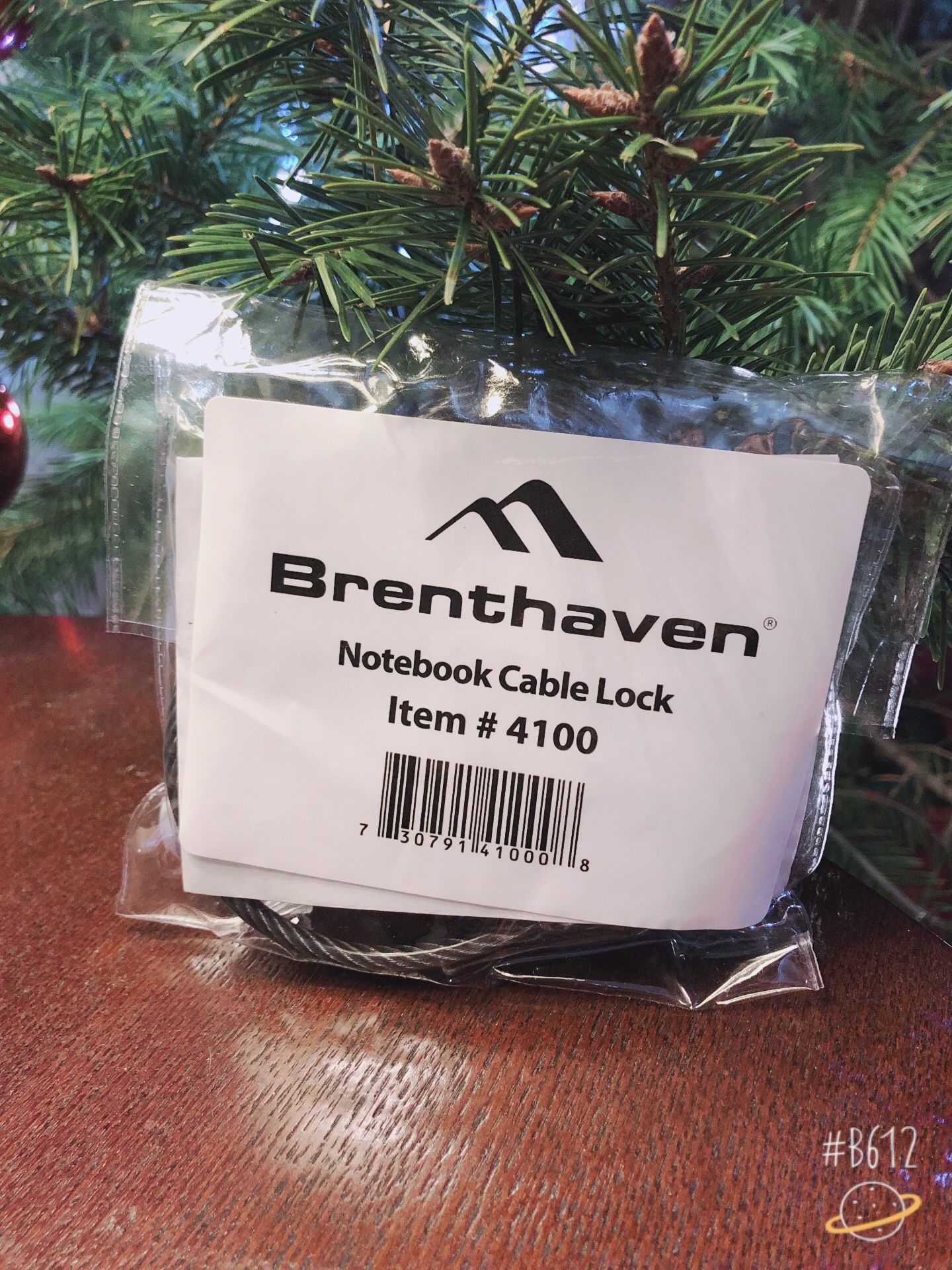 Brenthaven notebook cable lock