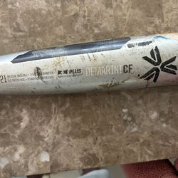 Baseball Bat