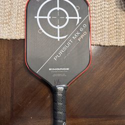 Pickleball Paddles & Bag