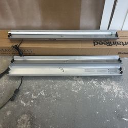 Shop Lights 