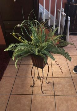 plant decor